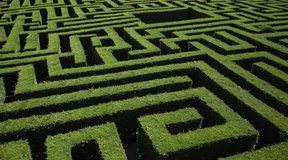 Navigating the Maze of Fall Book Releases